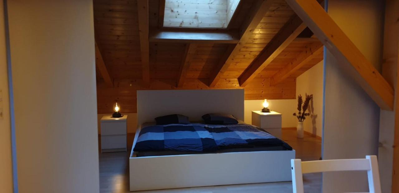Apartment Hohenwerfen Ngoại thất bức ảnh
